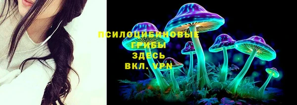 прущий лед Инта