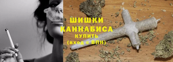 ПСИЛОЦИБИНОВЫЕ ГРИБЫ Иннополис