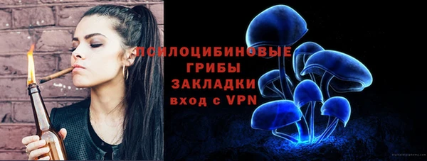 ПСИЛОЦИБИНОВЫЕ ГРИБЫ Иннополис