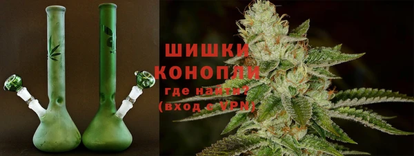 ПСИЛОЦИБИНОВЫЕ ГРИБЫ Иннополис