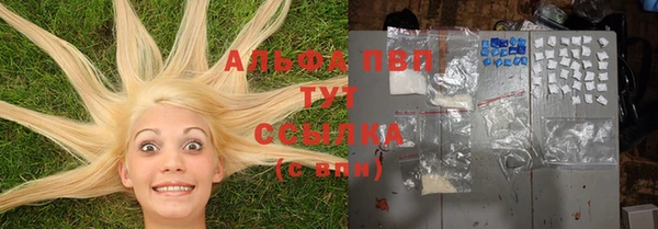 ПСИЛОЦИБИНОВЫЕ ГРИБЫ Иннополис