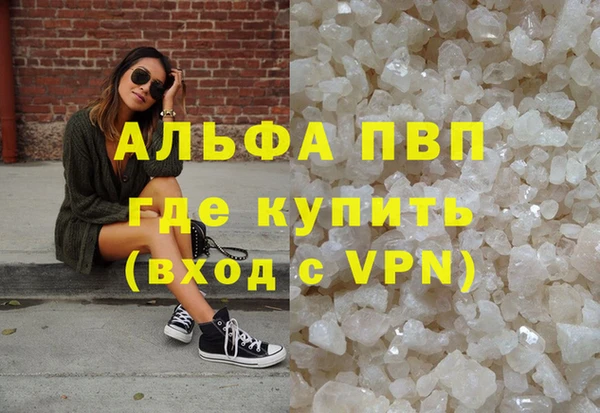 ПСИЛОЦИБИНОВЫЕ ГРИБЫ Иннополис