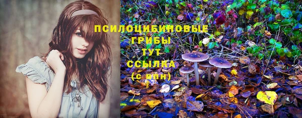 прущий лед Инта