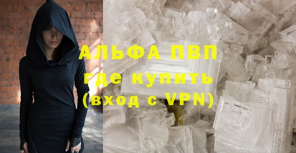 ПСИЛОЦИБИНОВЫЕ ГРИБЫ Иннополис