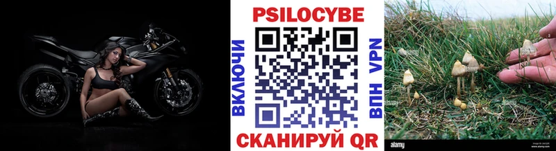Псилоцибиновые грибы мицелий  Купить закладки  Ермолино 